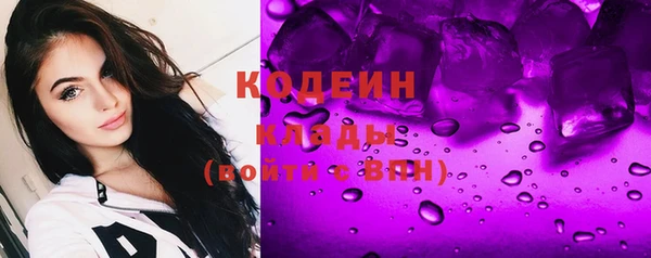 молекула духа Новозыбков