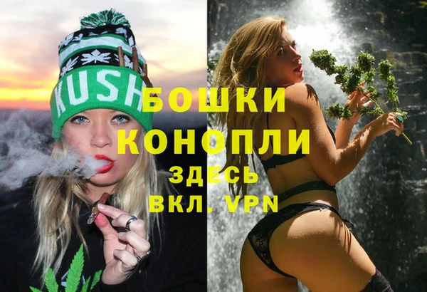 молекула духа Новозыбков