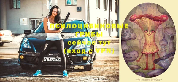 бошки Алексеевка