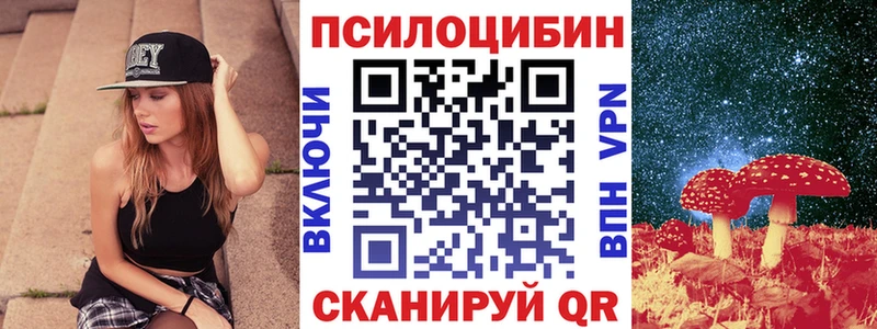 Галлюциногенные грибы Cubensis  Новая Ладога 